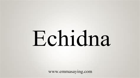how do you say echidna.